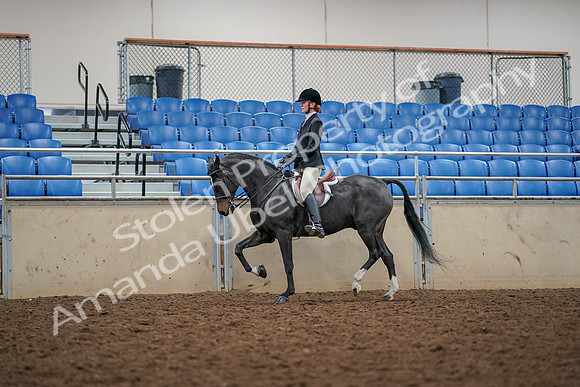 2019 Morgan Horse Show - Aug 30, 2019 - 23280