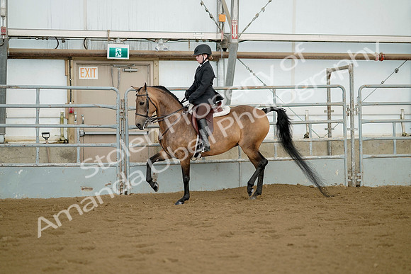 July 21, 2019 - 02156