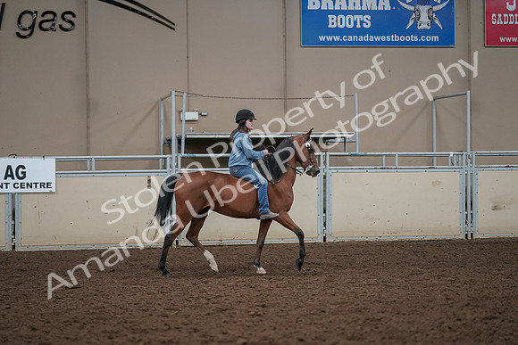 2019 Morgan Horse Show - Aug 30, 2019 - 31429