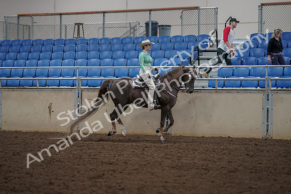 2019 Morgan Horse Show - Aug 30, 2019 - 26149