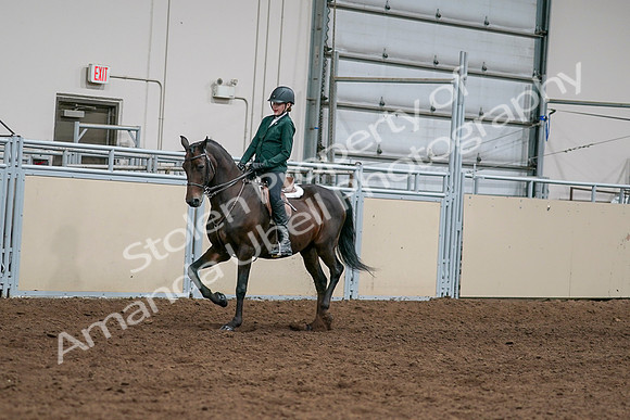 2020 - AB Morgan Horse - Sat, Sept 05 - 05026