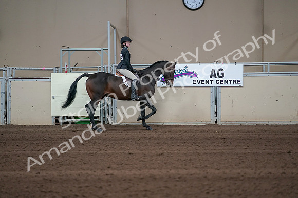 2019 Morgan Horse Show - Sept 01, 2019 - 03806