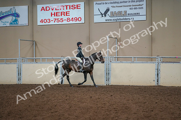 2019 Morgan Horse Show - Aug 30, 2019 - 12478
