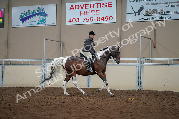 2019 Morgan Horse Show - Aug 30, 2019 - 22505