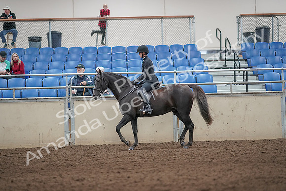 2019 Morgan Horse Show - Aug 31, 2019 - 07193