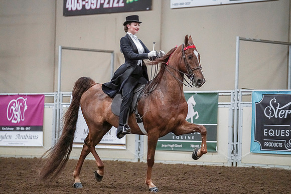 Spring Fling - Saturday - April 20, 2019  -  04263