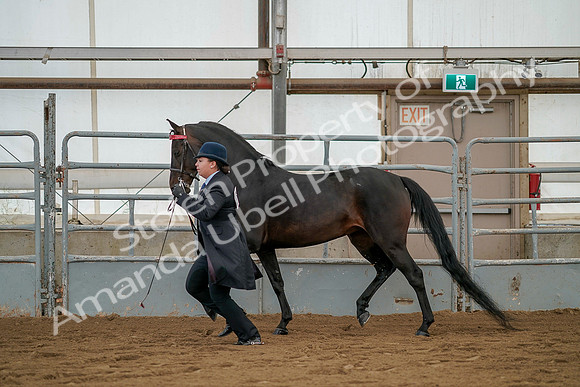 July 19, 2019 - 2081