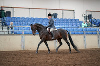 2019 Morgan Horse Show - Aug 30, 2019 - 13883