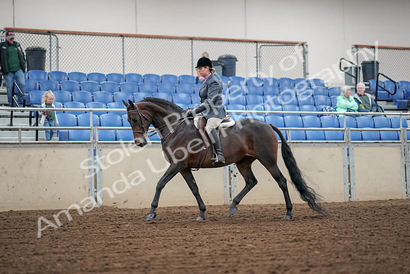 2019 Morgan Horse Show - Aug 30, 2019 - 13883