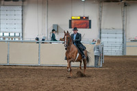 2020 - AB Morgan Horse - Sat, Sept 05 - 09365
