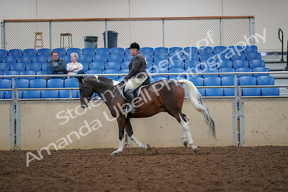 2019 Morgan Horse Show - Aug 30, 2019 - 22424