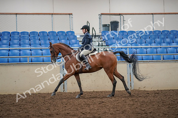 2019 Morgan Horse Show - Aug 30, 2019 - 22360
