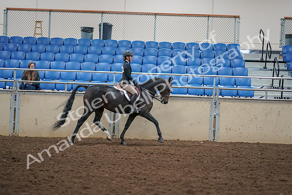 2019 Morgan Horse Show - Aug 30, 2019 - 12459