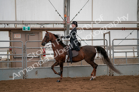 July 19, 2019 - 3011
