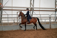 Class 023 - Walk - Trot Hunt Seat or Saddleseat Equitation - 11 & Under
