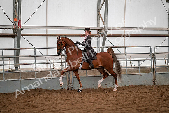 July 19, 2019 - 10335