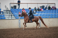 Class 106 - All Breed Eng Pl Open