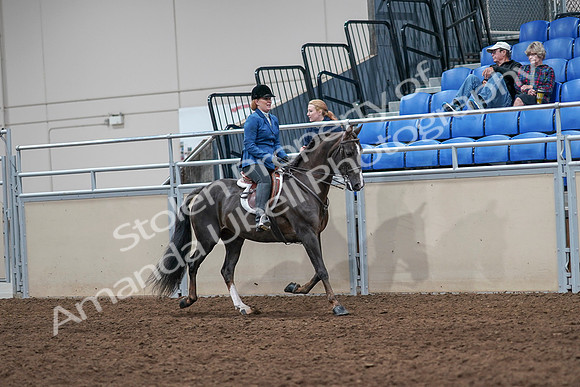 2020 - AB Morgan Horse - Sat, Sept 05 - 05078