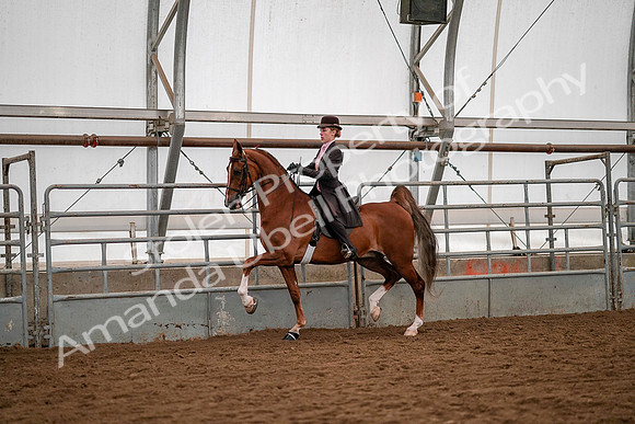 July 19, 2019 - 10321