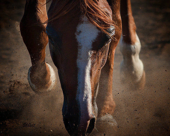 Jesse - Sept 03 2011 - 2040