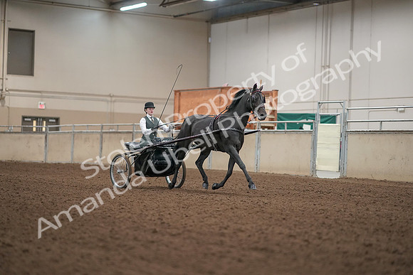 2019 Morgan Horse Show - Aug 31, 2019 - 04742