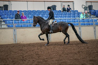 2019 Morgan Horse Show - Aug 30, 2019 - 19866