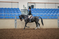 2019 Morgan Horse Show - Aug 30, 2019 - 23107