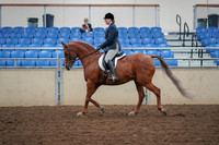 2019 Morgan Horse Show - Aug 30, 2019 - 16020
