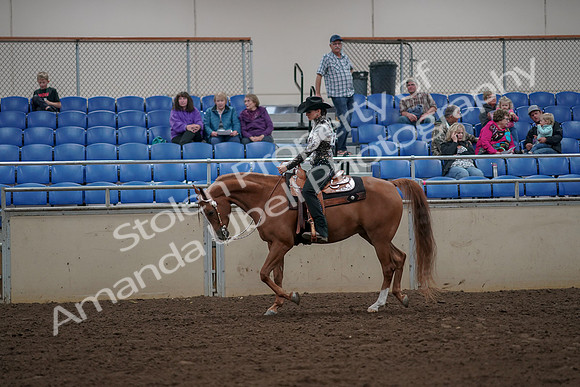 2019 Morgan Horse Show - Aug 30, 2019 - 26017