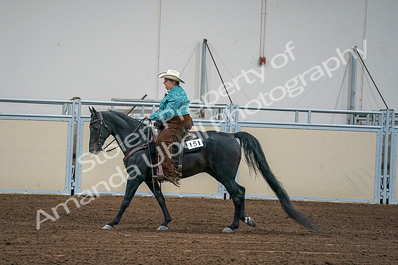 2020 - AB Morgan Horse - Fri, Sept 04 - 00599