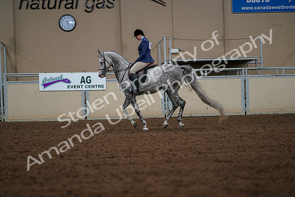 2019 Morgan Horse Show - Aug 30, 2019 - 22433
