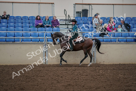 2019 Morgan Horse Show - Aug 30, 2019 - 26063