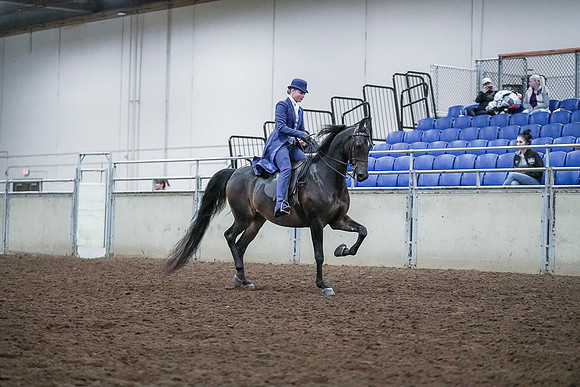Spring Fling - Saturday - April 20, 2019  -  00774