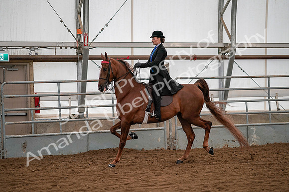July 19, 2019 - 10305