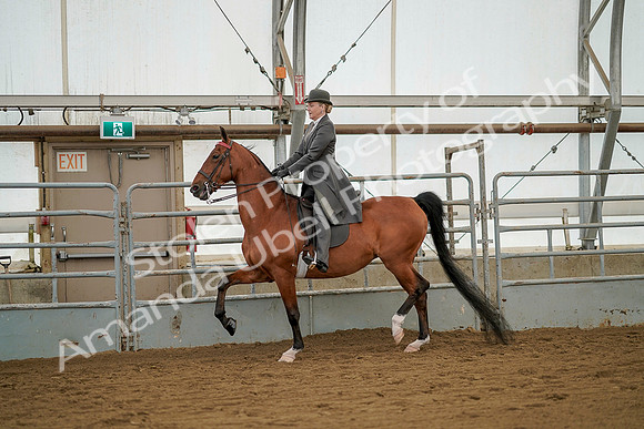 July 20, 2019 - 02311