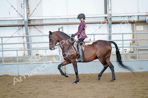 July 21, 2019 - 03266