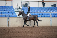 2019 Morgan Horse Show - Sept 01, 2019 - 03659