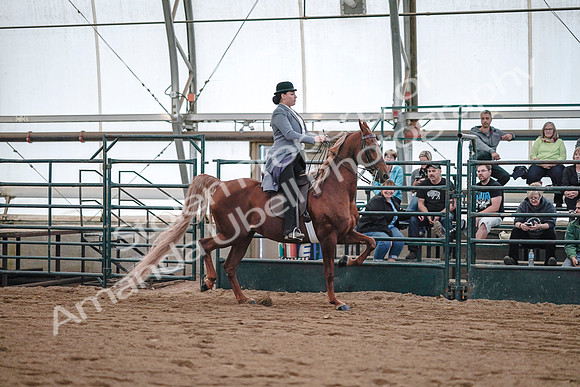 July 20, 2019 - 17139