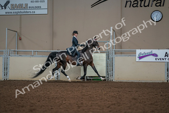 2019 Morgan Horse Show - Aug 30, 2019 - 25256