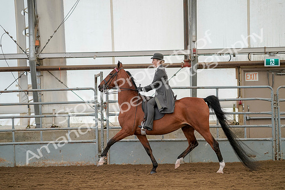 July 20, 2019 - 02056
