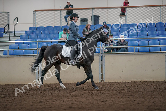 2019 Morgan Horse Show - Aug 31, 2019 - 07457