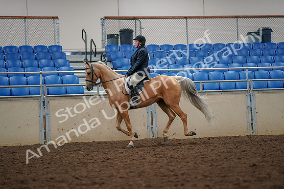 2019 Morgan Horse Show - Aug 30, 2019 - 22366