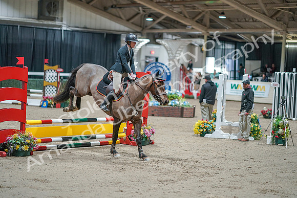 2020 - Spruce Meadows - FCI - Fri, Feb 07 - 00573