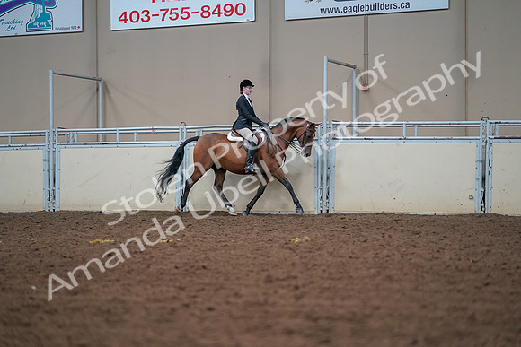2019 Morgan Horse Show - Aug 30, 2019 - 20749