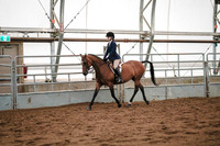 Class 086 - All Breed Hunter Pleasure - Open