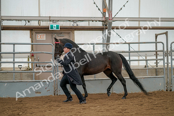 July 19, 2019 - 2070