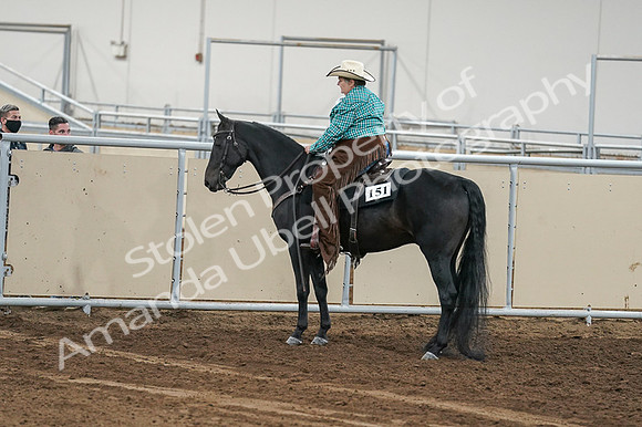 2020 - AB Morgan Horse - Fri, Sept 04 - 00652