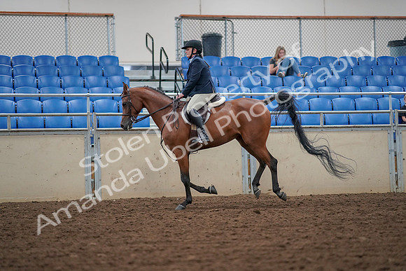 2019 Morgan Horse Show - Aug 30, 2019 - 16366