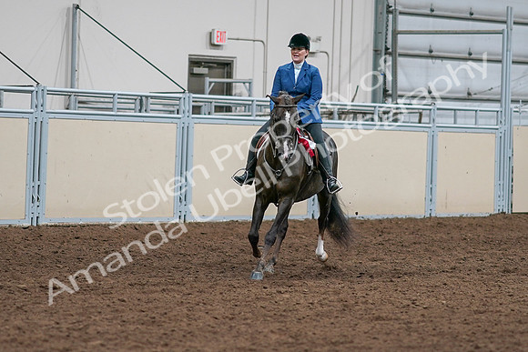 2020 - AB Morgan Horse - Sat, Sept 05 - 05234