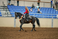 2020 - AB Morgan Horse - Sat, Sept 05 - 10368